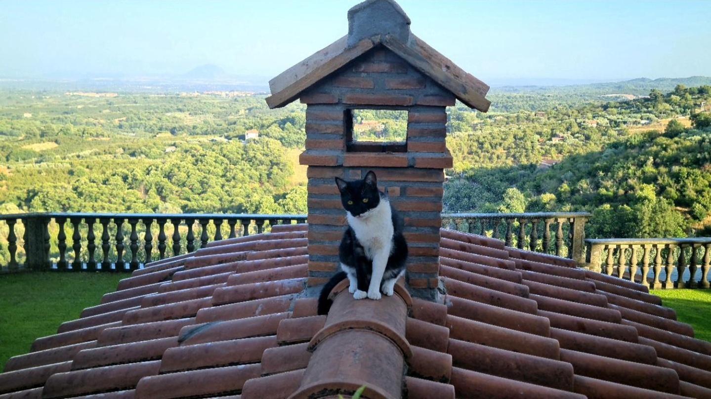 Casa Anna Maria Apartment Soriano nel Cimino